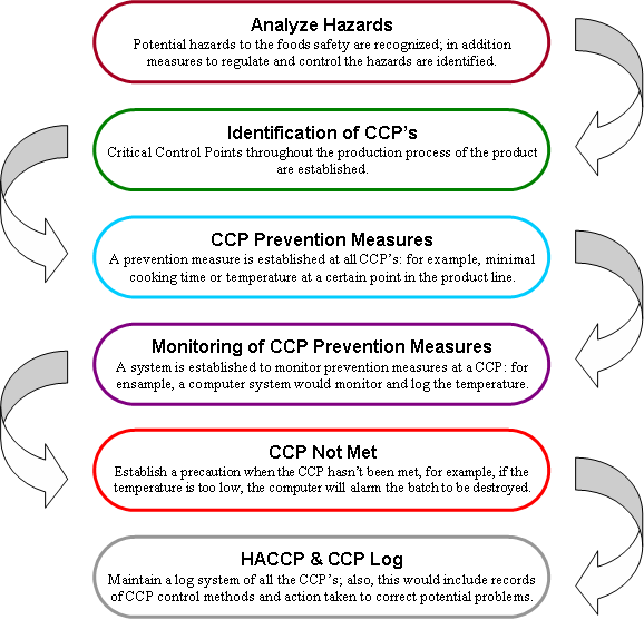 HACCP-steps