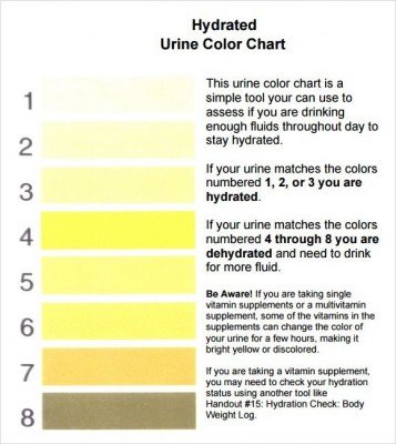 Urine-Color-Chart-for-Hydration2