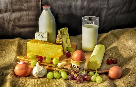 Dairy Benefits